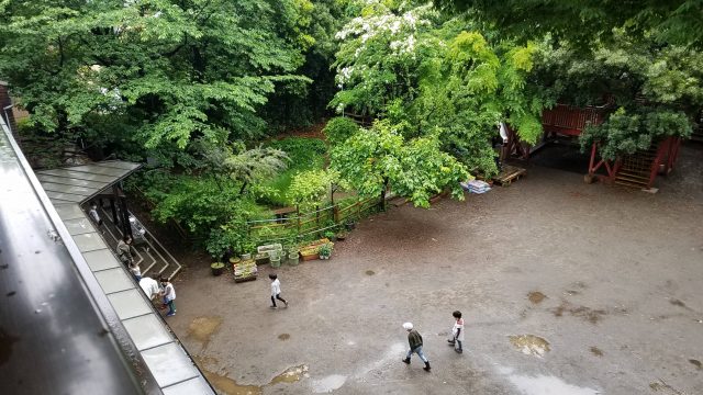 雨の園庭　