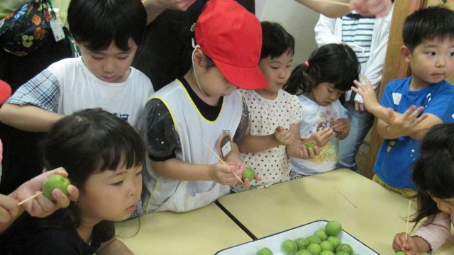 年中組１学期　ちょうちょうグループ