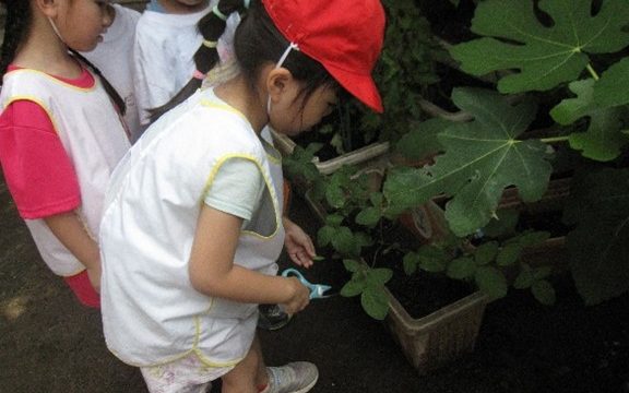 年中組１学期　たんぽぽグループ